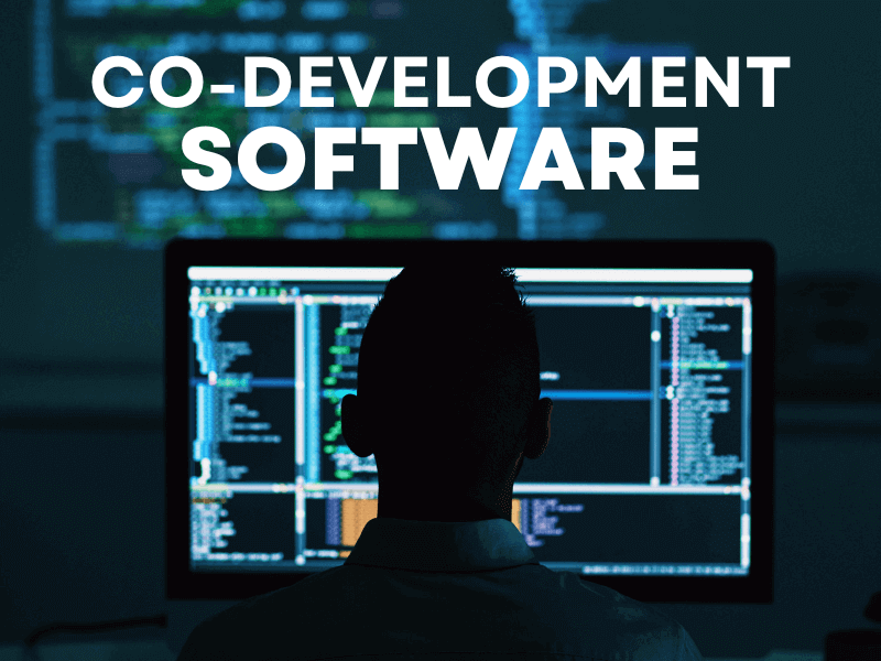 Co-Development Software